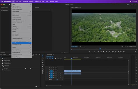 How to Crop Image in Premiere Pro: A Comprehensive Guide to Visual Storytelling